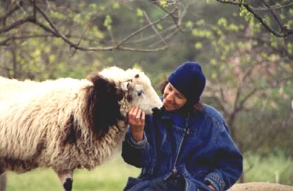 {Brenda with sheep}