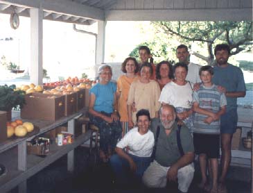 {Harvest Volunteers}